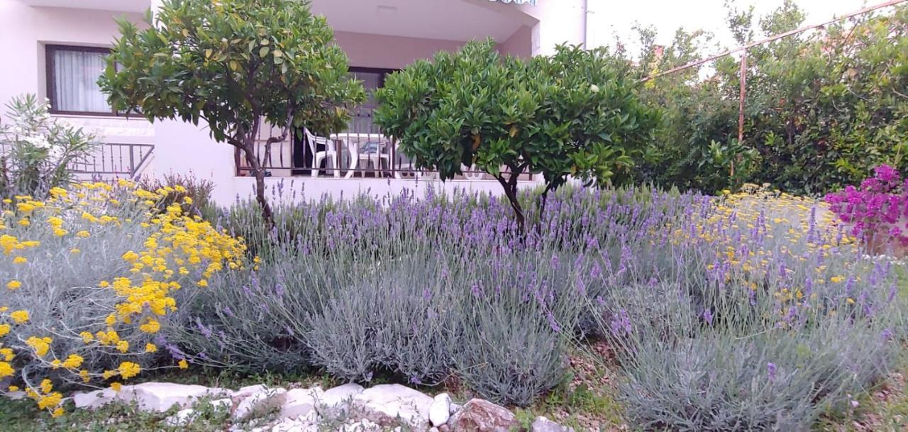 Holiday Home Ruzmarin Τρογκίρ Εξωτερικό φωτογραφία